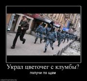 Прикрепленное изображение: 231897_ukral_tsvetocheg_s_klumbyi.jpg