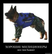 Прикрепленное изображение: mxgiddwnrmwp.jpg