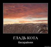 Прикрепленное изображение: zzcg0ljflgkd.jpg