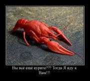 Прикрепленное изображение: RAK.jpg