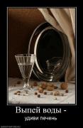 Прикрепленное изображение: 549103_vyipej_vodyi_.jpg