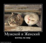 Прикрепленное изображение: 806511_muzhskoj_i_zhenskij_.jpg