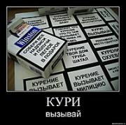 Прикрепленное изображение: qrafg9ytbqbd.jpg