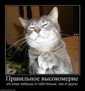 Прикрепленное изображение: 737752_pravilnoe_vyisokomerie_thumbnail.jpg