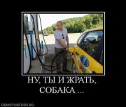 Прикрепленное изображение: 959004_leto_proshlo_thumbnail.jpg