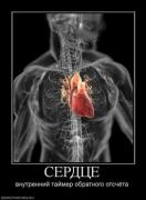 Прикрепленное изображение: 63601_serdtse_thumbnail.jpg