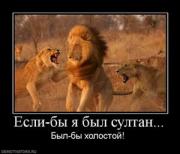 Прикрепленное изображение: 346775_esli_byi_ya_byil_sultan_thumbnail.jpg