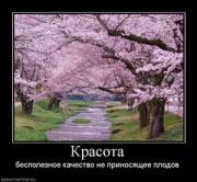 Прикрепленное изображение: 848985_krasota_thumbnail.jpg