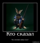 Прикрепленное изображение: 1277057277Krolik_s_ruzhem.jpg