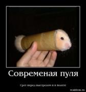 Прикрепленное изображение: 3.jpg