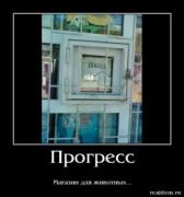 Прикрепленное изображение: 1276980986DSC01436.jpg