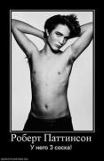 Прикрепленное изображение: 650882_robert_pattinson_thumbnail.jpg