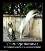 Прикрепленное изображение: 55619_uchis_peredvigatsya_thumbnail.jpg