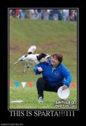 Прикрепленное изображение: 973878_this_is_sparta111_thumbnail.jpg