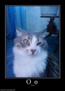 Прикрепленное изображение: 755625_oo_thumbnail.jpg