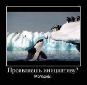 Прикрепленное изображение: 1254119622_hiop_ru_1253869064_16d8fe6fca8d.jpg