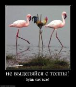 Прикрепленное изображение: 1254119622_hiop_ru_1253869109_17665_ne_vyidelyajsya_s_tolpyi.jpg