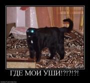Прикрепленное изображение: 1254119622_hiop_ru_1253869119_24590_gde_moi_ushi.jpg