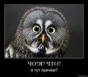 Прикрепленное изображение: 1254119622_hiop_ru_1253869160_88wft3aag5dm.jpg