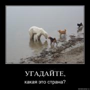 Прикрепленное изображение: 1254119622_hiop_ru_1253869204_fl6ngo9heox6.jpg