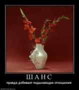 Прикрепленное изображение: 182810_sh_a_n_s_thumbnail.jpg