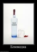 Прикрепленное изображение: 619111_blyuvodka.thumbnail.jpg