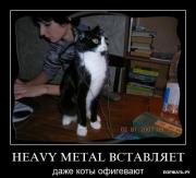 Прикрепленное изображение: 1246942240_9.jpg