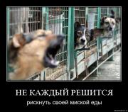 Прикрепленное изображение: yuzd2ovmsdgn.jpg