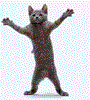 Прикрепленное изображение: 6_3270.gif