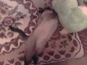 Прикрепленное изображение