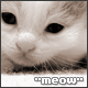 Прикрепленное изображение: Meow.gif