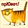 Прикрепленное изображение: a1093da4abb5f716f4ca656351c46948.gif