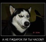 Прикрепленное изображение: 2a336628531c.jpg