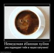 Прикрепленное изображение: x_98c3aac7.jpg