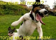 Прикрепленное изображение: x_14c6ad3f.jpg