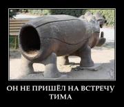 Прикрепленное изображение: zewedwc0qhkf.jpg