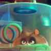 Прикрепленное изображение: 1070409175429.gif