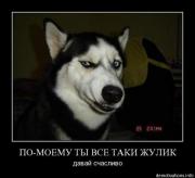 Прикрепленное изображение: www.demotivations.info5xsbcoxw1aeh.jpg
