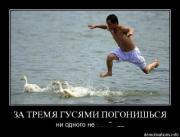 Прикрепленное изображение: www.demotivations.info6r6jb5f8mrt1.jpg