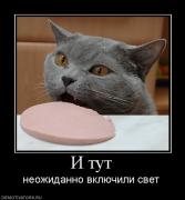 Прикрепленное изображение: 994888_i_tut.jpg