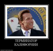 Прикрепленное изображение: 215129_terminator_kalifornii.thumbnail.jpg