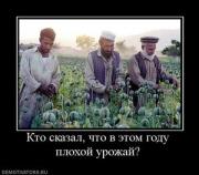 Прикрепленное изображение: 412626_kto_skazal_chto_v_etom_godu_plohoj_urozhaj.thumbnail.jpg