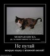 Прикрепленное изображение: 4.jpg