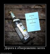 Прикрепленное изображение: 34642_doroga_k_obmorozheniyu_mozga.jpg