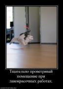 Прикрепленное изображение