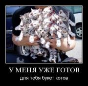 Прикрепленное изображение: b4e16b45105f.jpg
