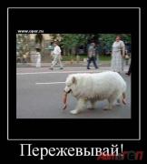 Прикрепленное изображение: 4.jpg