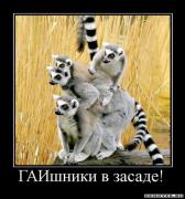 Прикрепленное изображение: 12.jpg