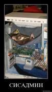 Прикрепленное изображение: ozx4w5funp6x.jpg