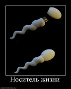 Прикрепленное изображение: 67995_nositel_zhizni.jpg